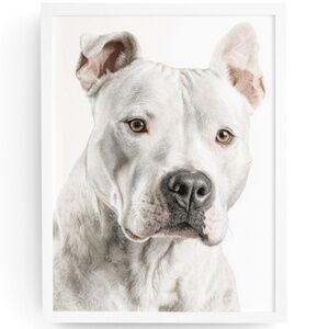 American White Pit Bull Terrier Watercolor Wall Art Print Poster - Unframed